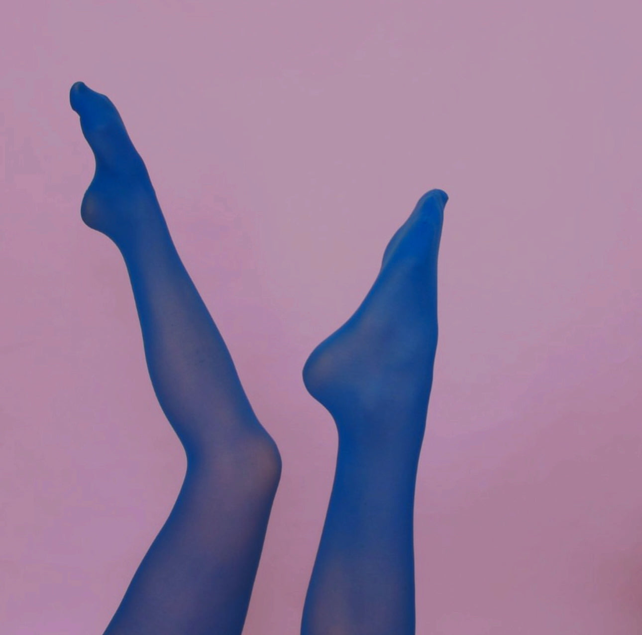 Photo by Ingrid Clara Renhuldt 1800 Hosiery Blue Tights Pink BG
