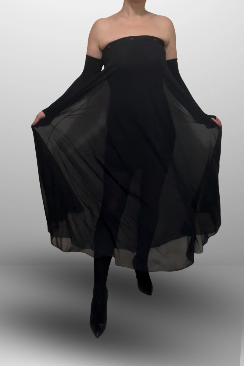 Black Transparent Dress