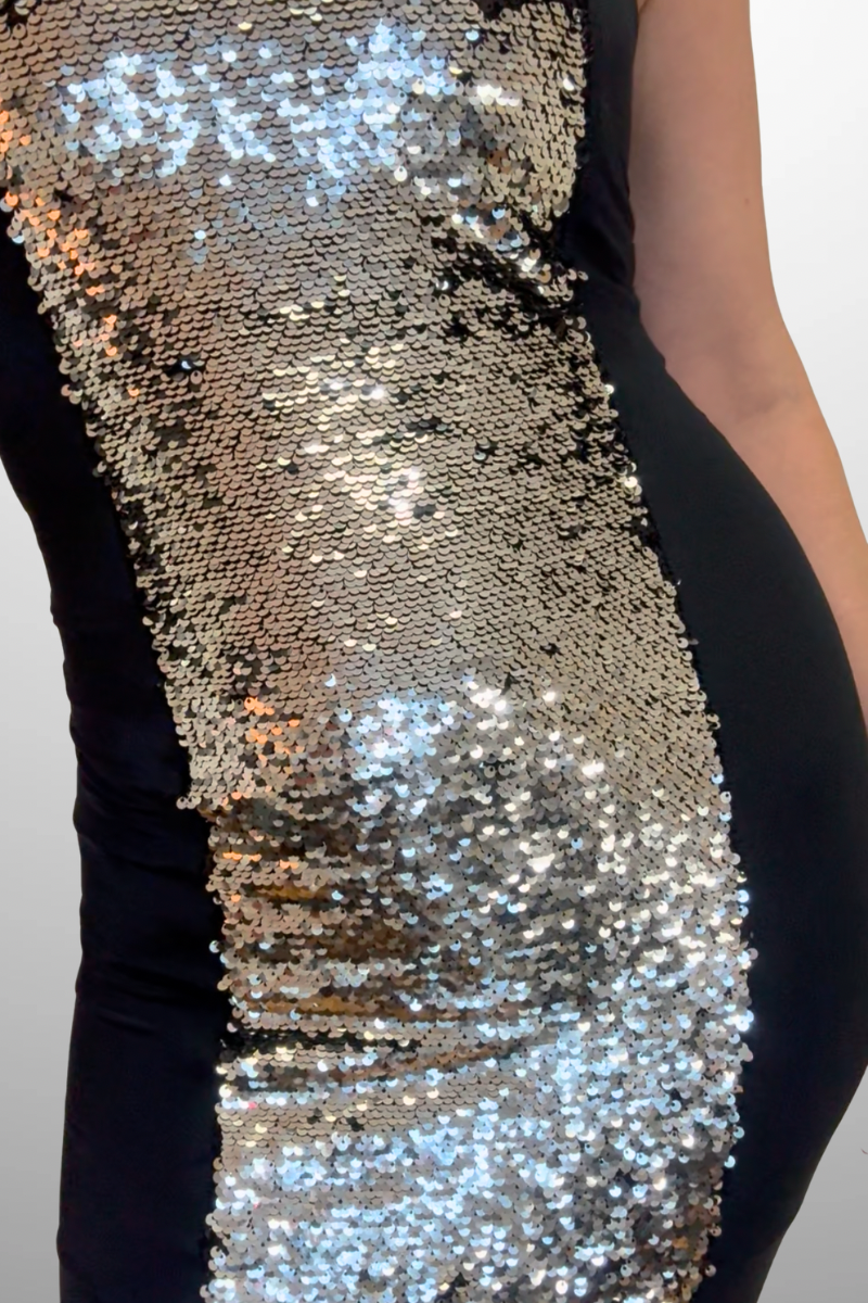 Silver &amp; Black Sequin Dress