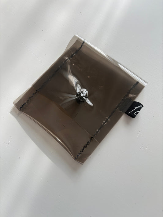 clear small case with push button